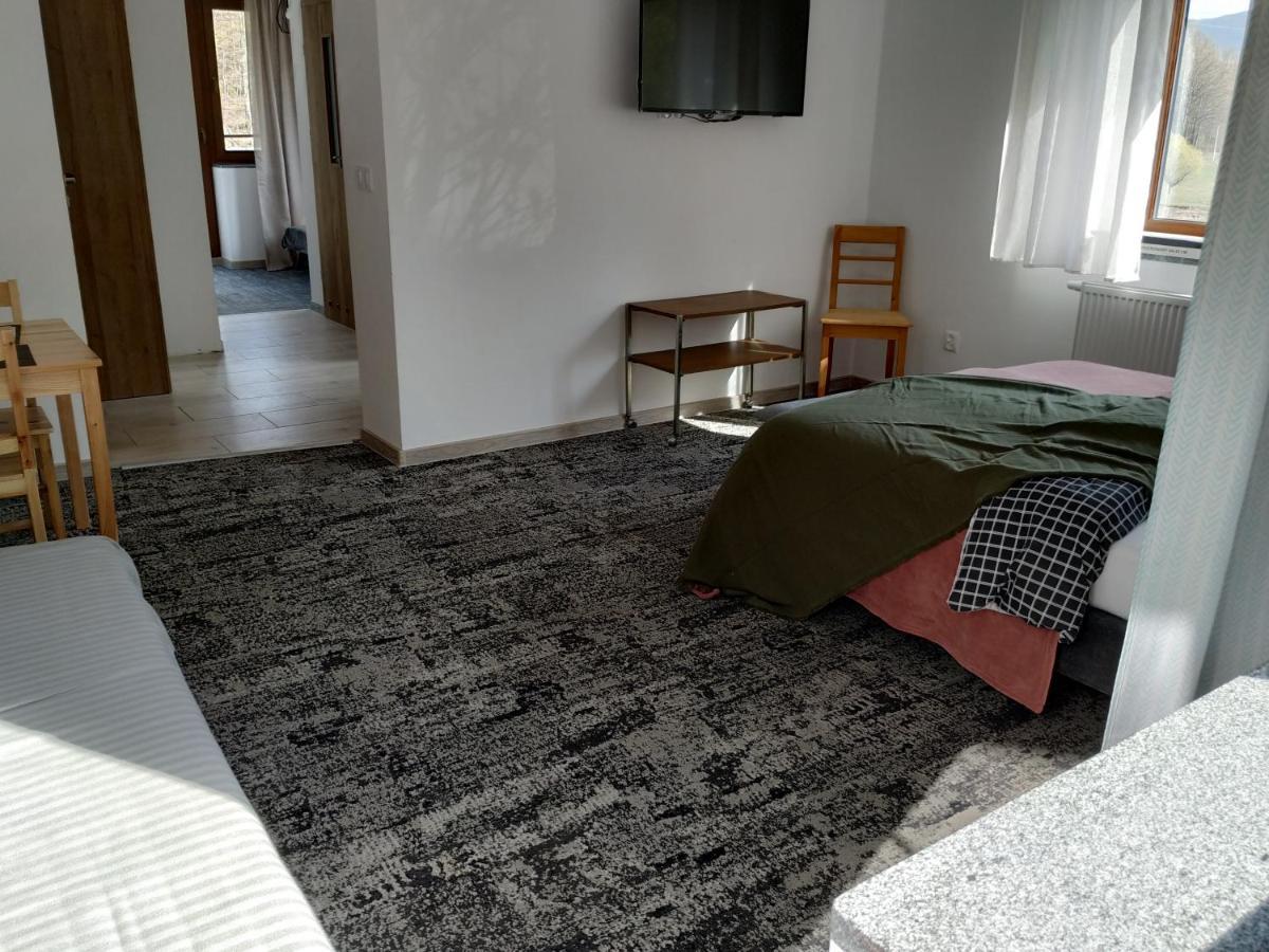 Pod Snieznymi Kotlami Piechowice (Karkonosze)
